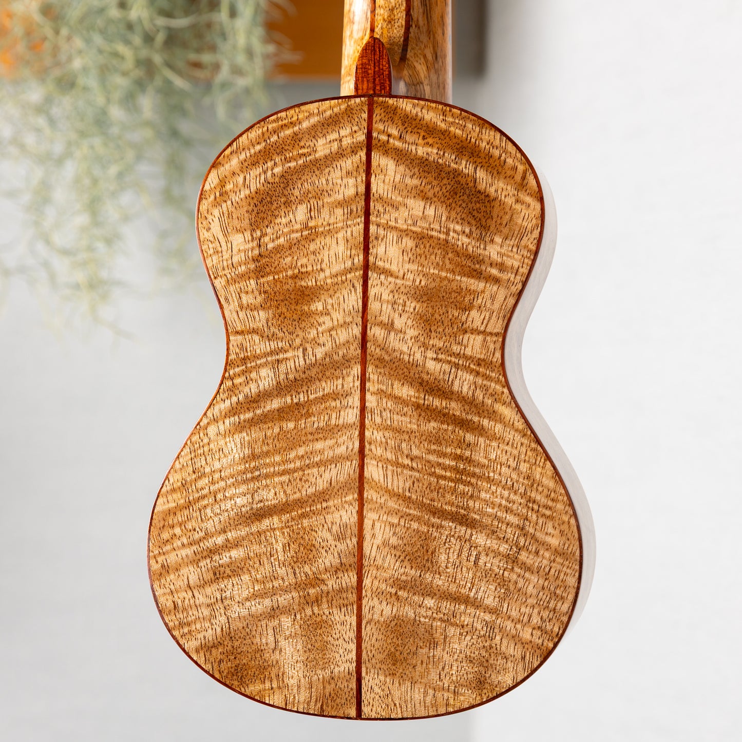 TAKULELE Soprano Longneck Mango