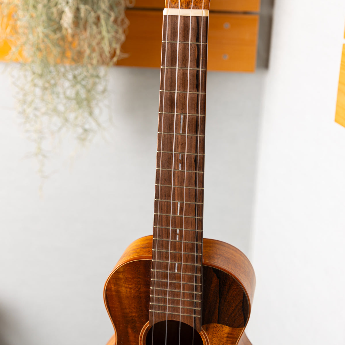 TODA Guitars VC All Koa   2023 used