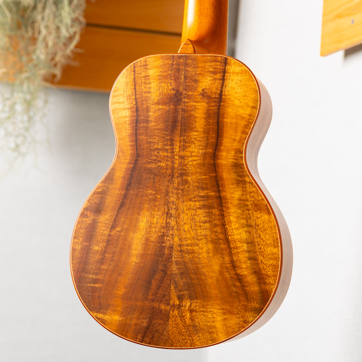TODA Guitars VC All Koa   2023 used