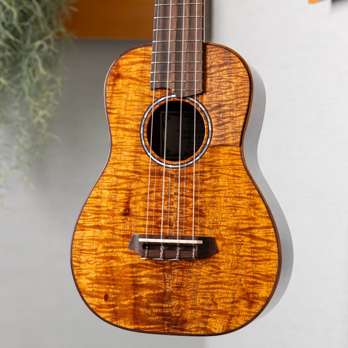 Tashiro Ukulele MC-KM/pg