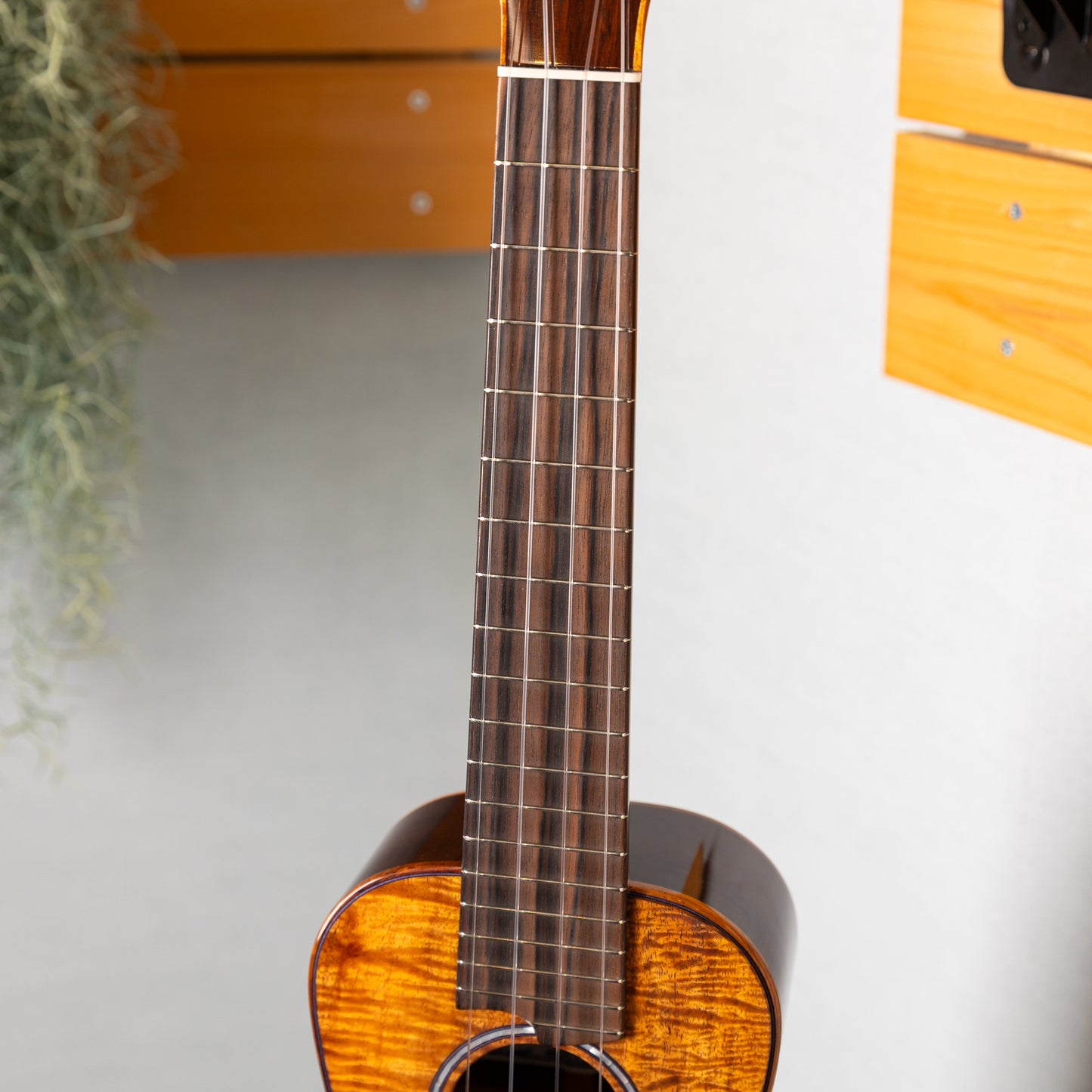 Tashiro Ukulele MC-KM/pg