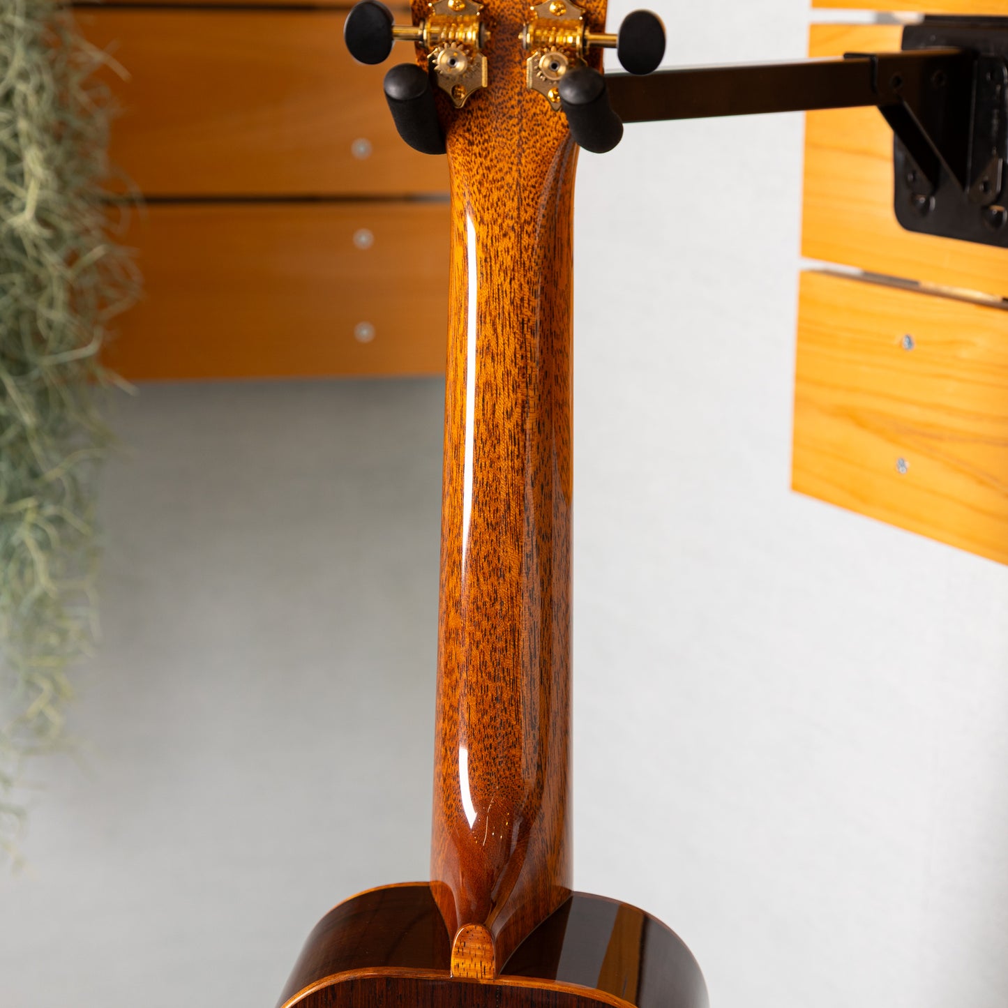 Tashiro Ukulele MC-KM/pg