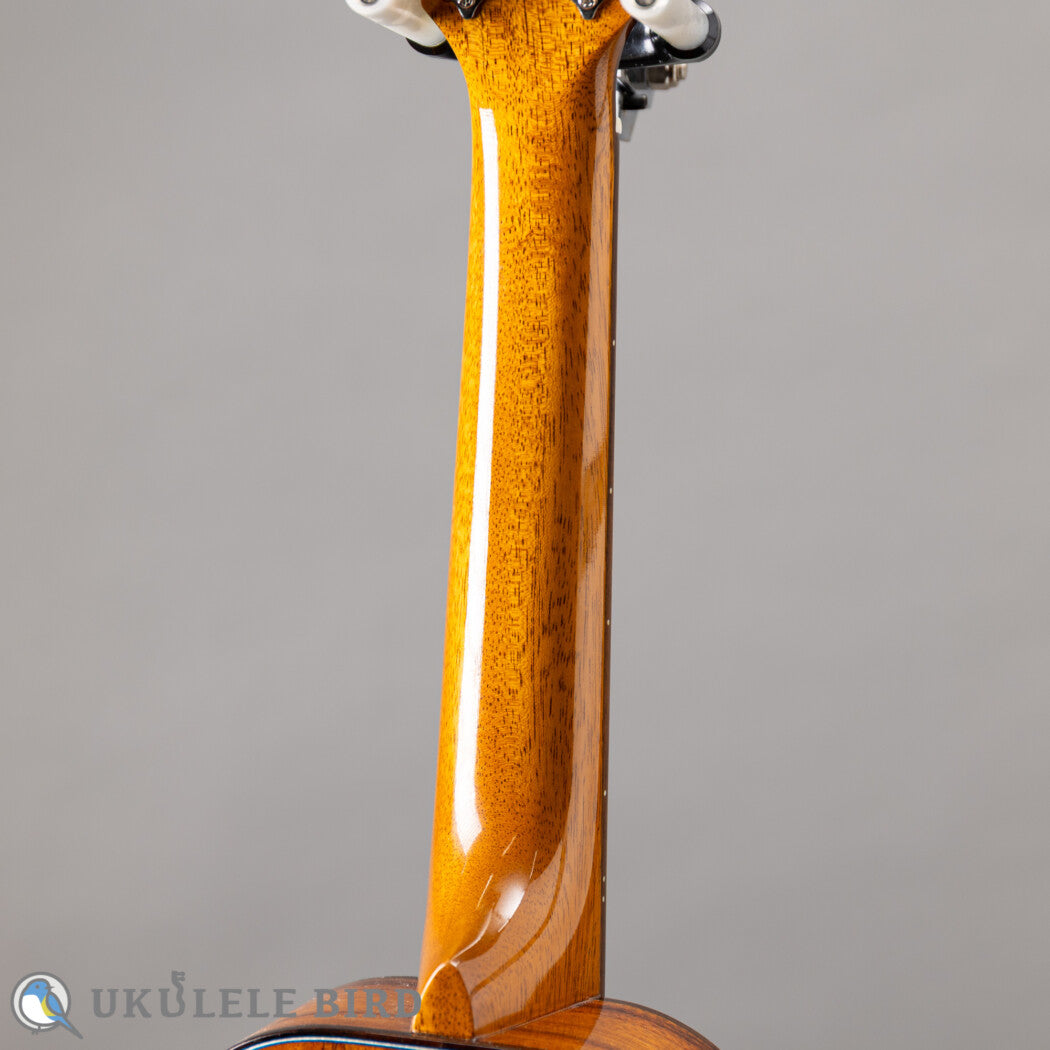 Truth THC-2403 Rose Binding