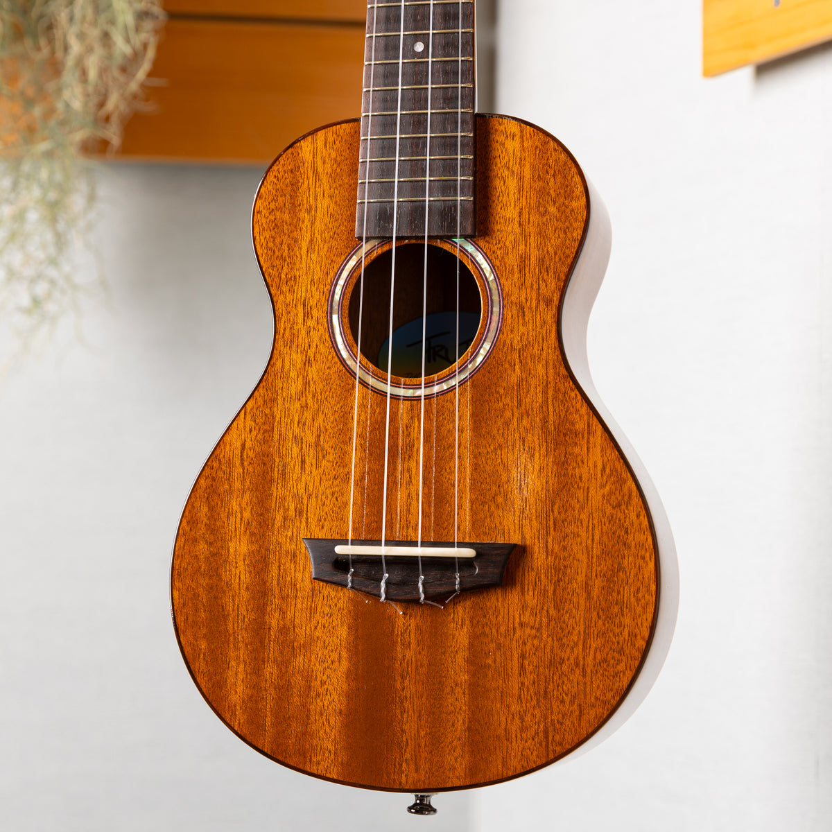 Truth THC-Custom Mahogany  2026 Used