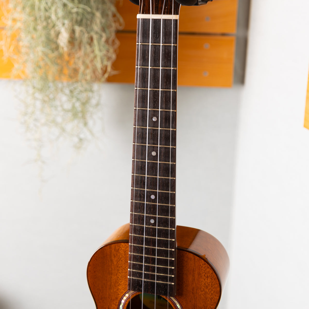 Truth THC-Custom Mahogany  2026 Used