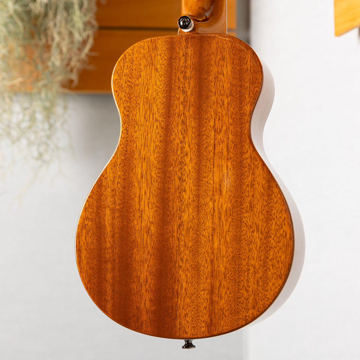 Truth THC-Custom Mahogany  2026 Used