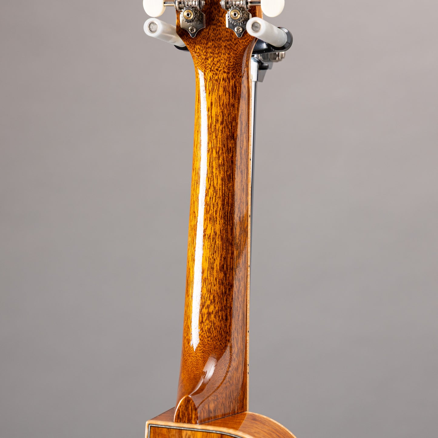 Truth THC-2328 Maple Binding