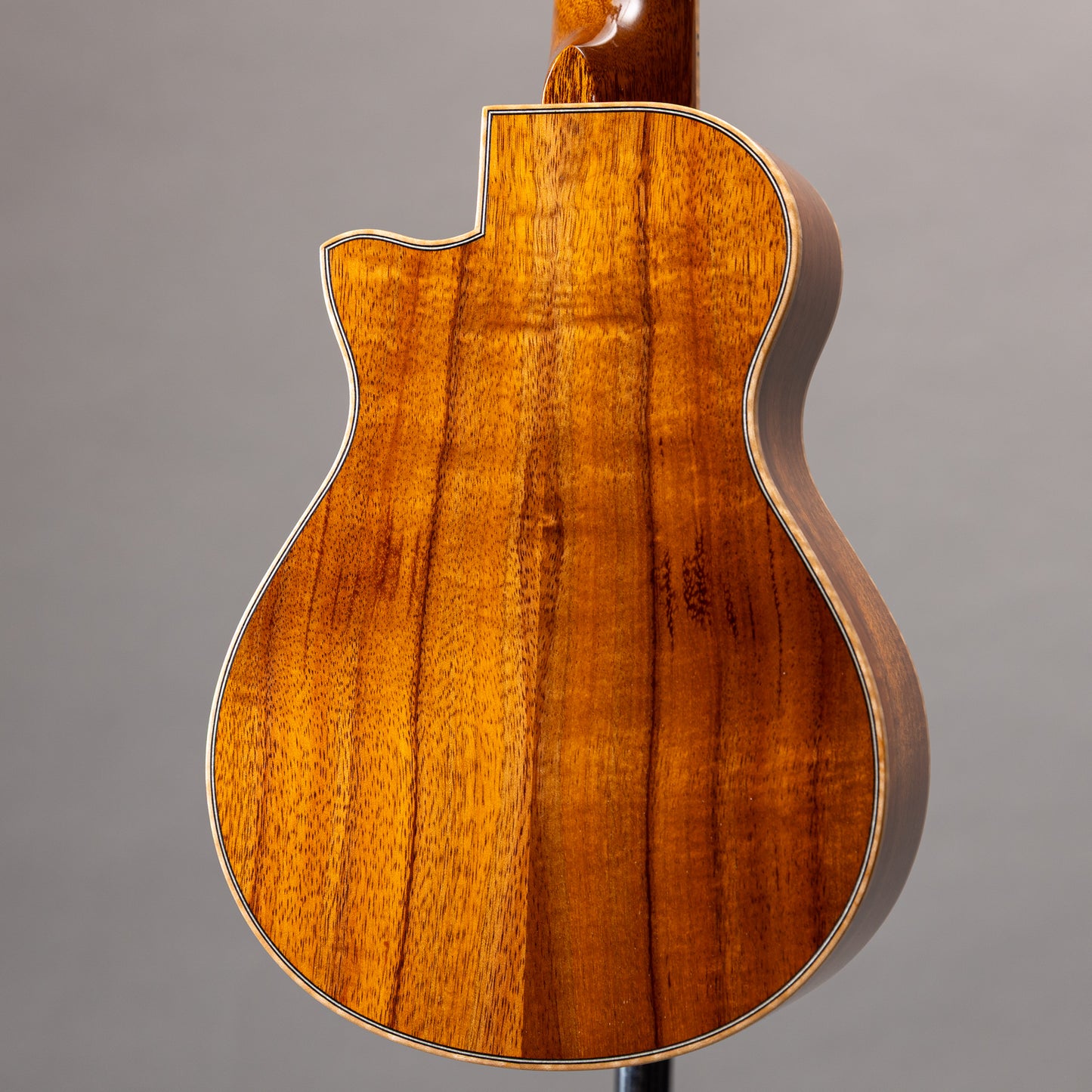 Truth THC-2328 Maple Binding