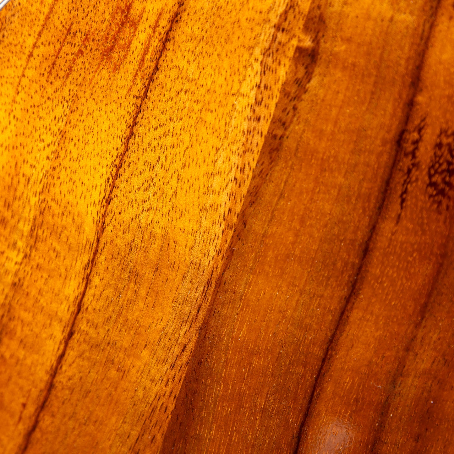 Truth THC-2328 Maple Binding