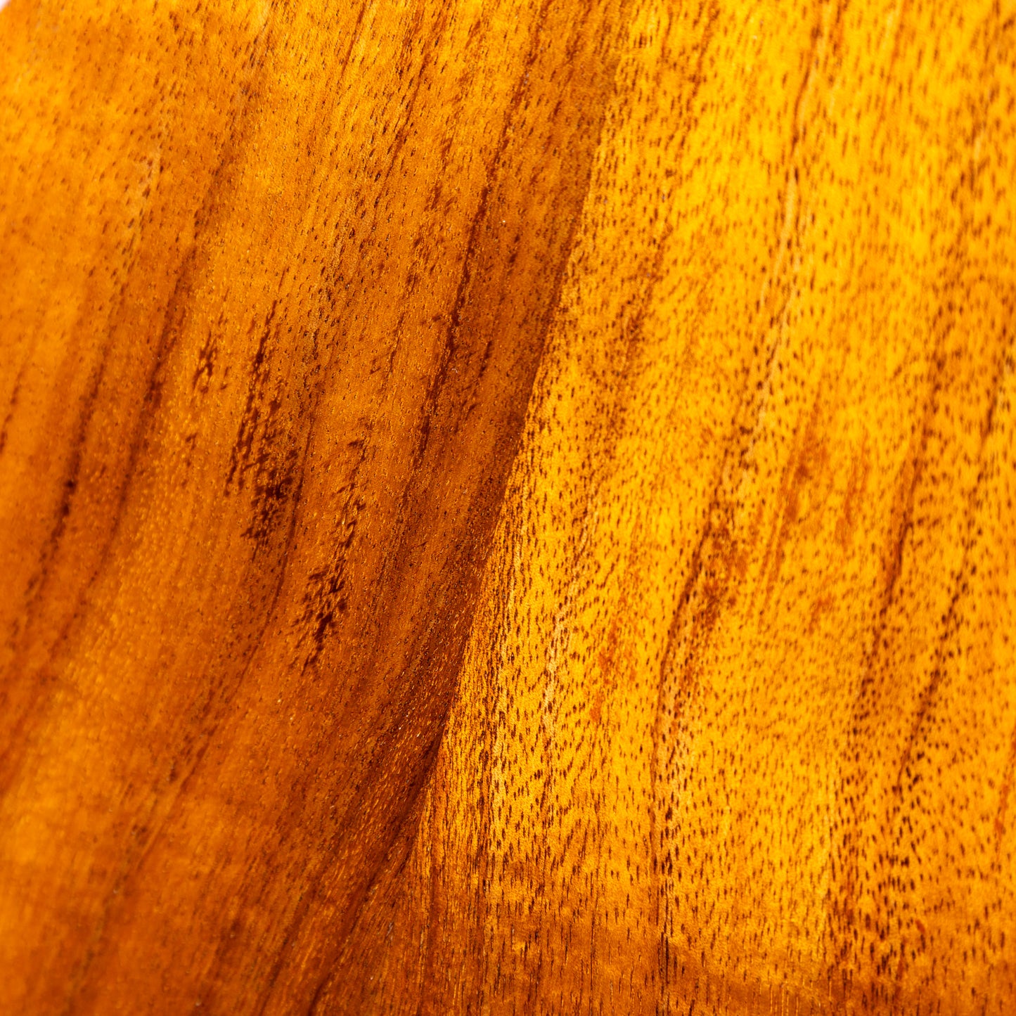 Truth  THC-2398 Rose Binding