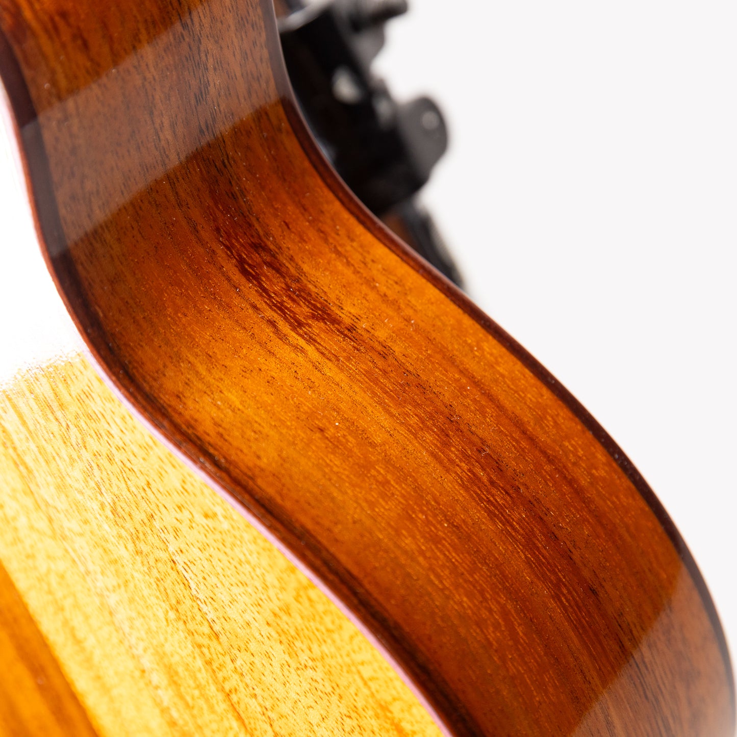 Truth  THC-2398 Rose Binding