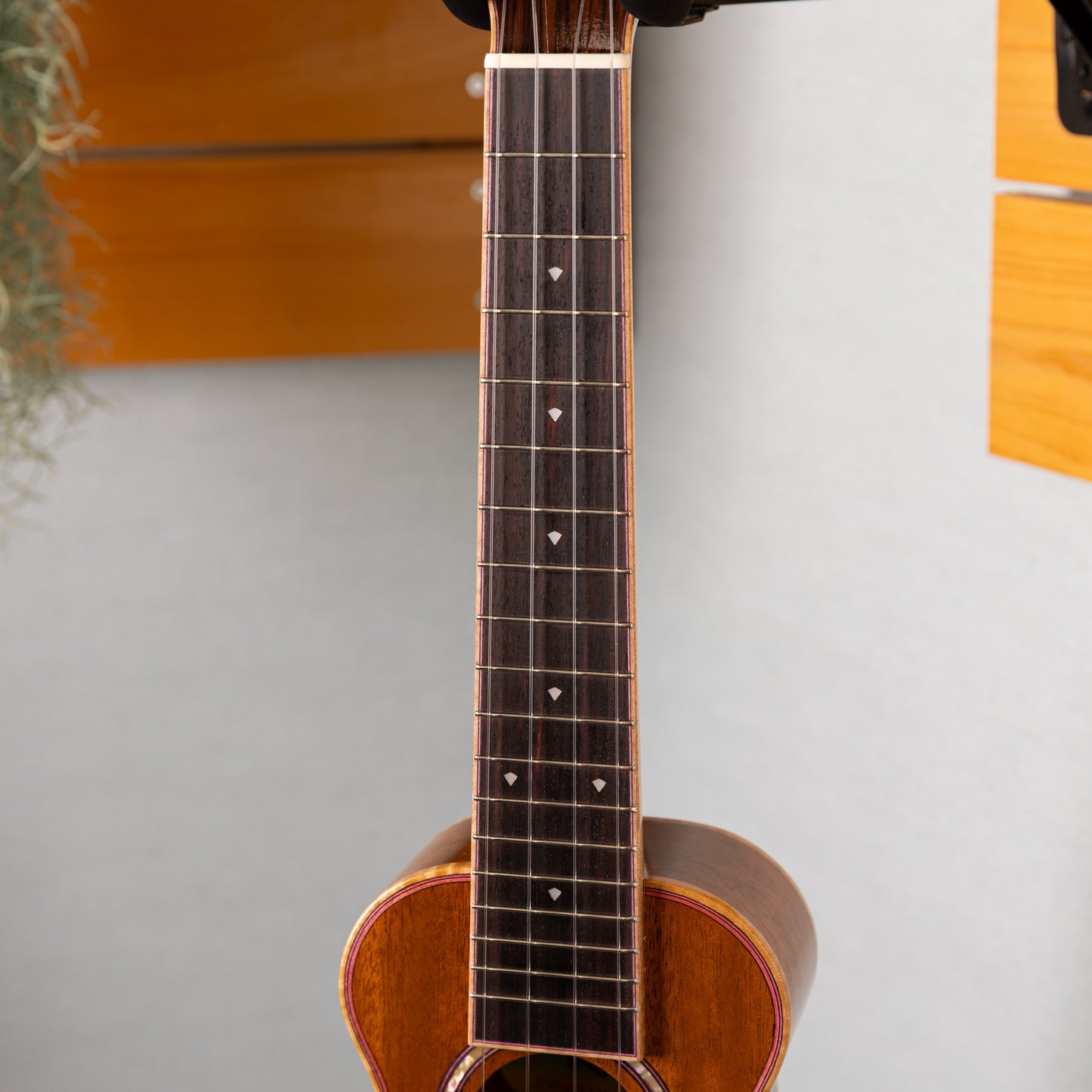 Truth THS-2393MH Maple Binding