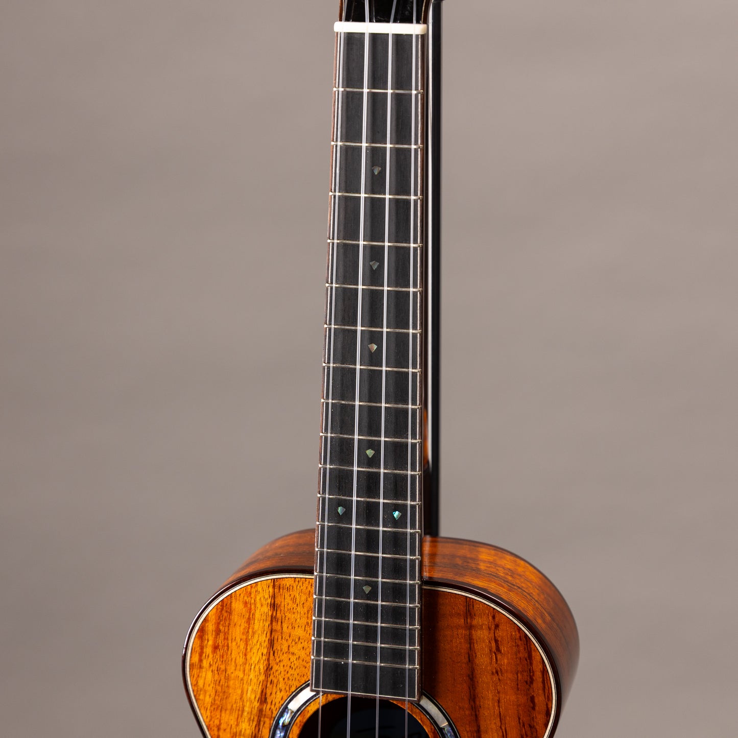 Truth TKE-2323 CST Ebony Rose Binding 2026年製 USED