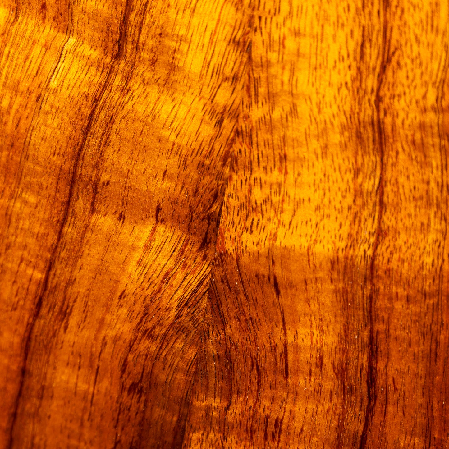 Truth TKE-2323 CST Ebony Rose Binding 2026年製 USED