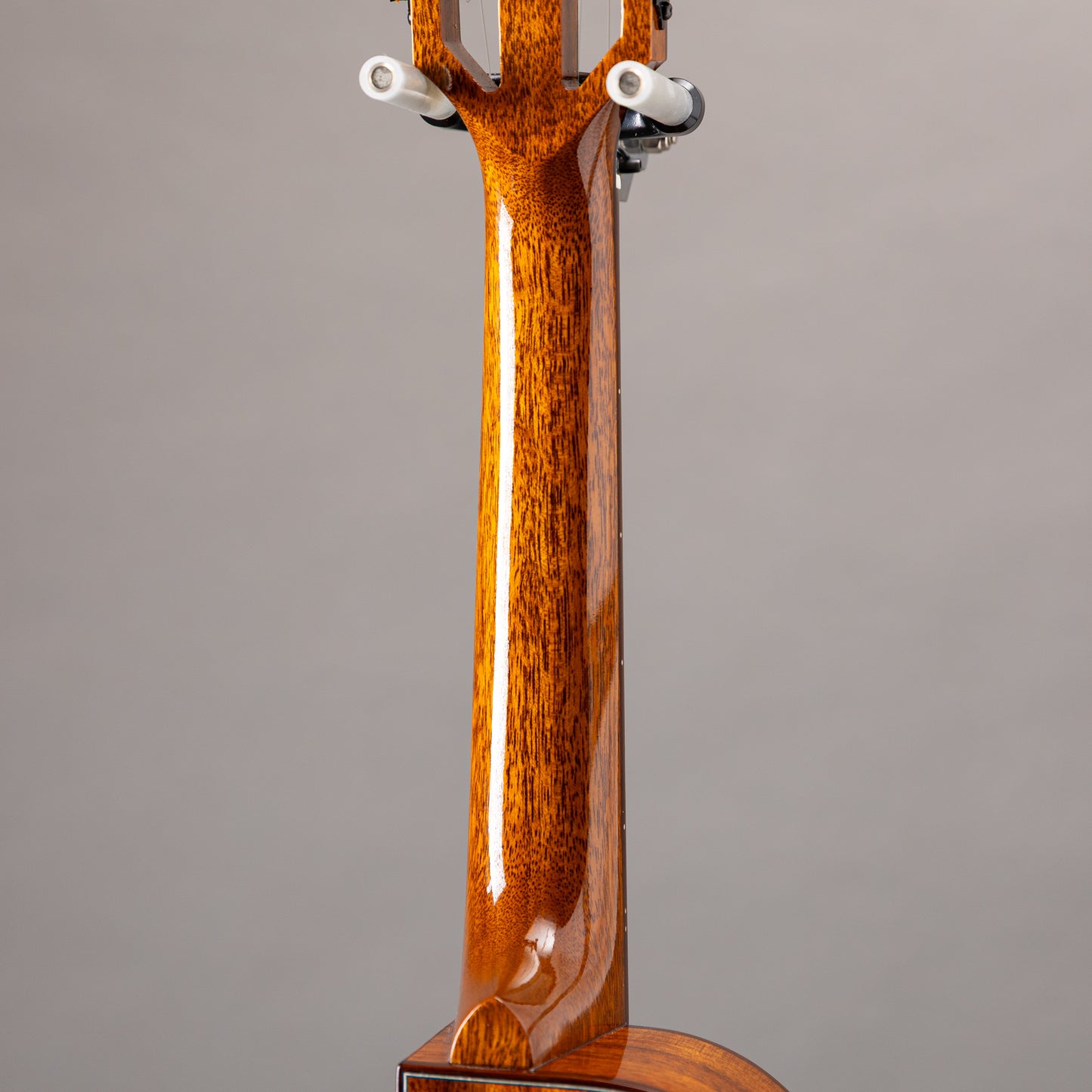 Truth TKE-2407 Rose Binding