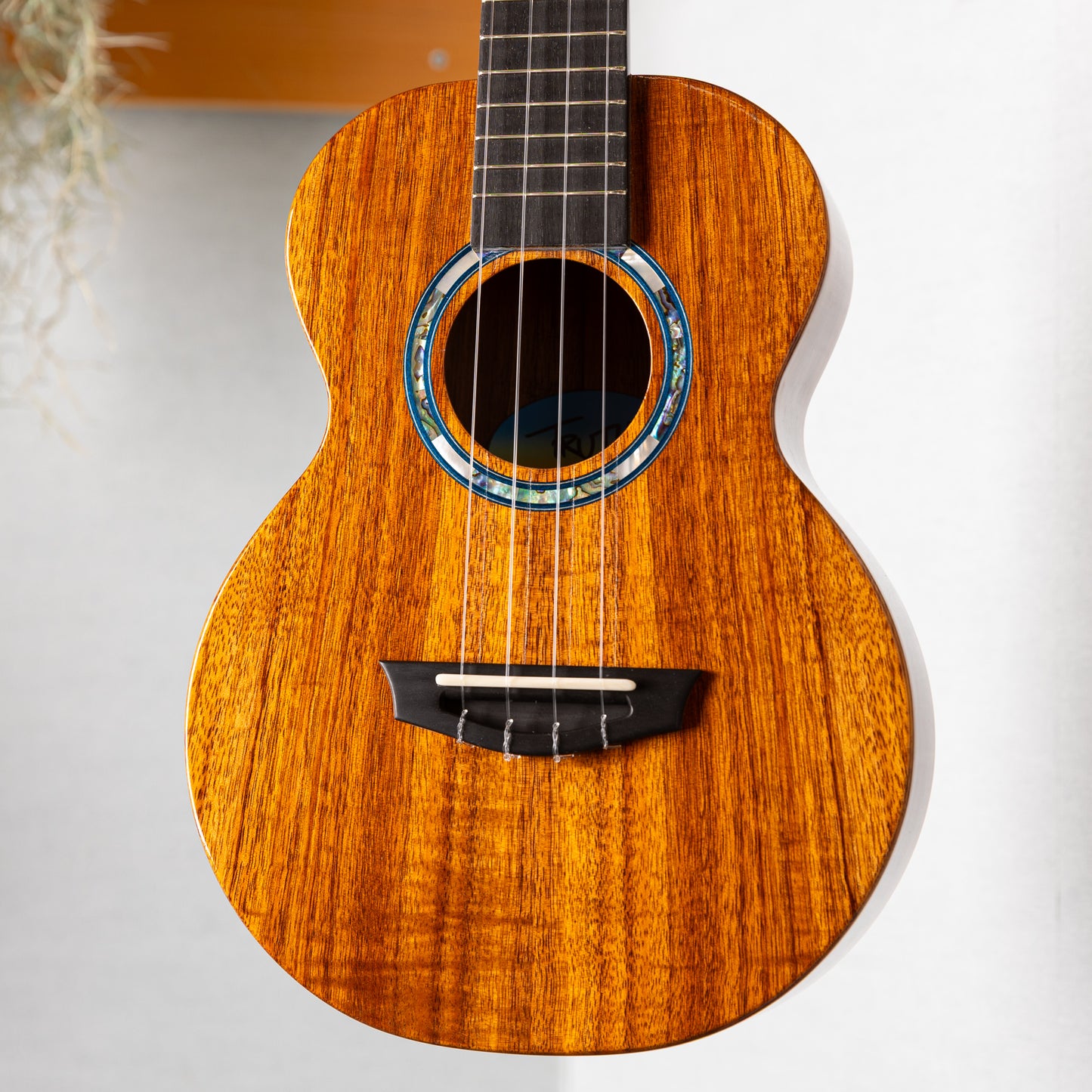 Truth TKE-6403 CTM Ebony