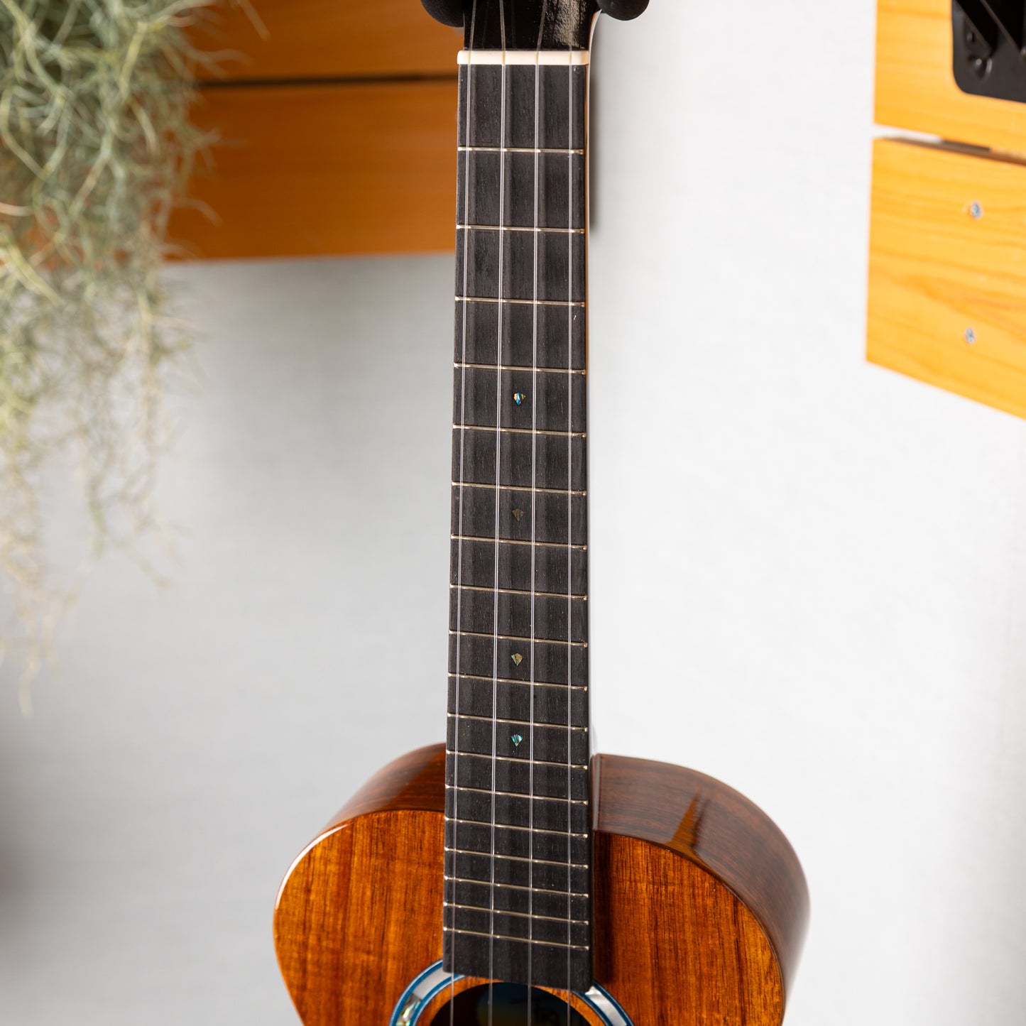 Truth TKE-6403 CTM Ebony