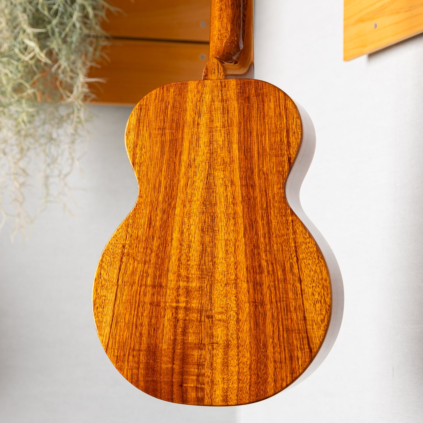 Truth TKE-6403 CTM Ebony