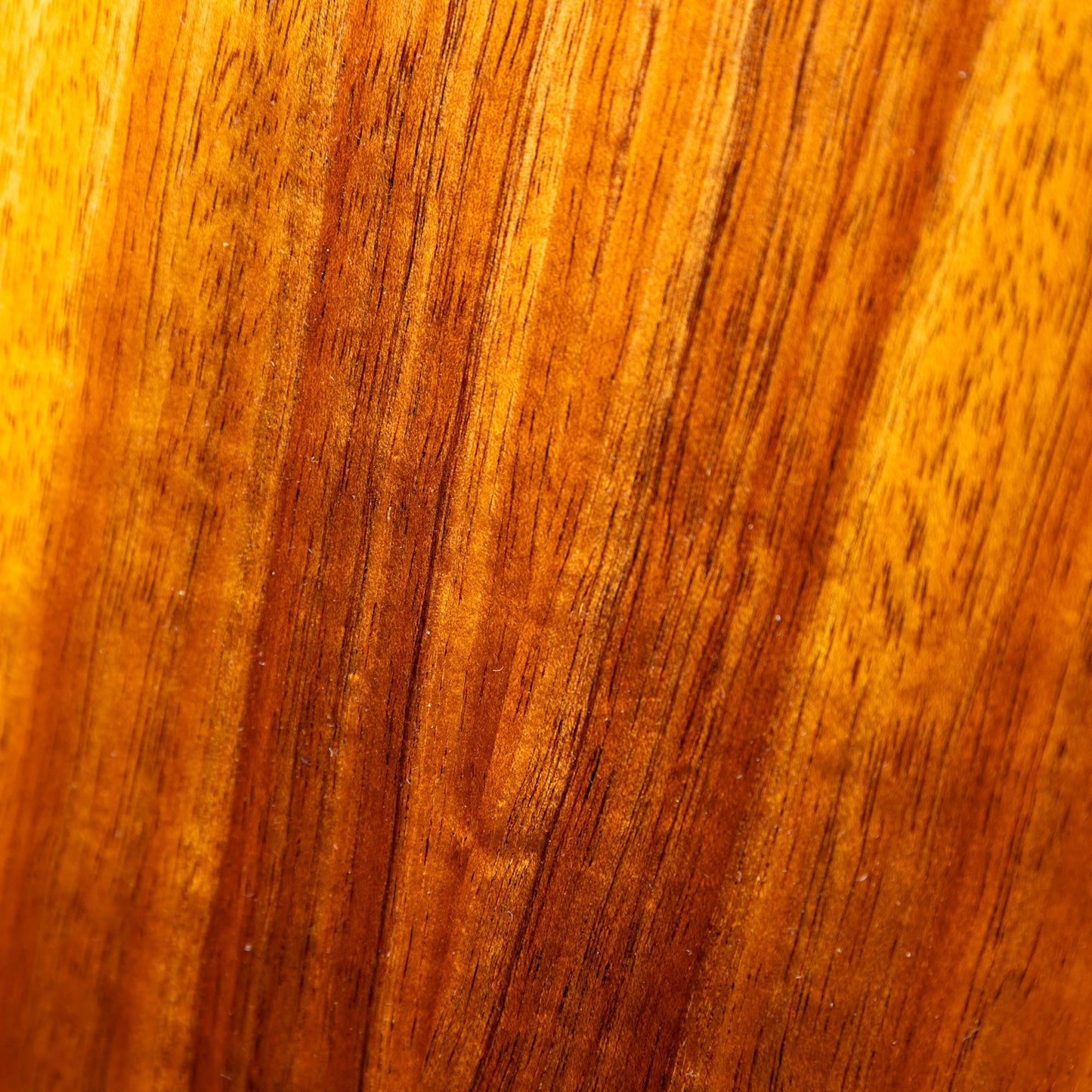 Truth TKP-2403 CTM Ebony Tree of life