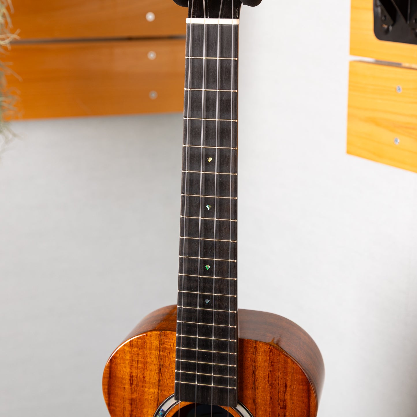 Truth TKE-6323 CTM Ebony