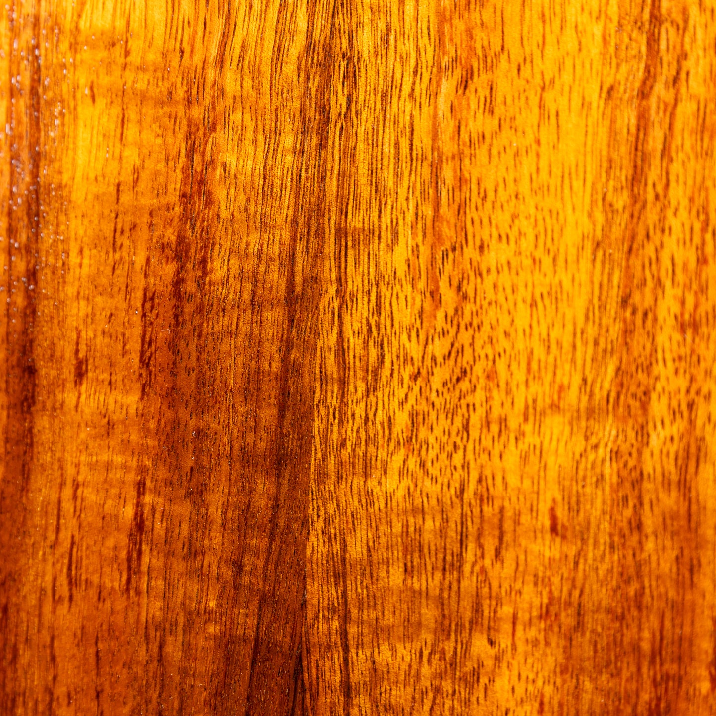 Truth TKE-6323 CTM Ebony