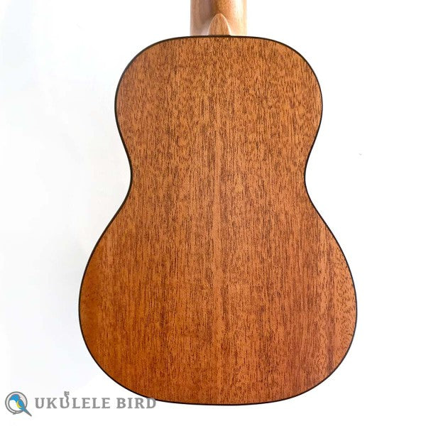 aNueNue aNN-S3