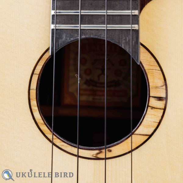 aNueNue aNN-UC200 Concert