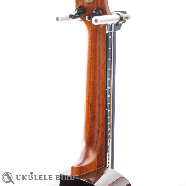 aNueNue aNN-UC200 Concert