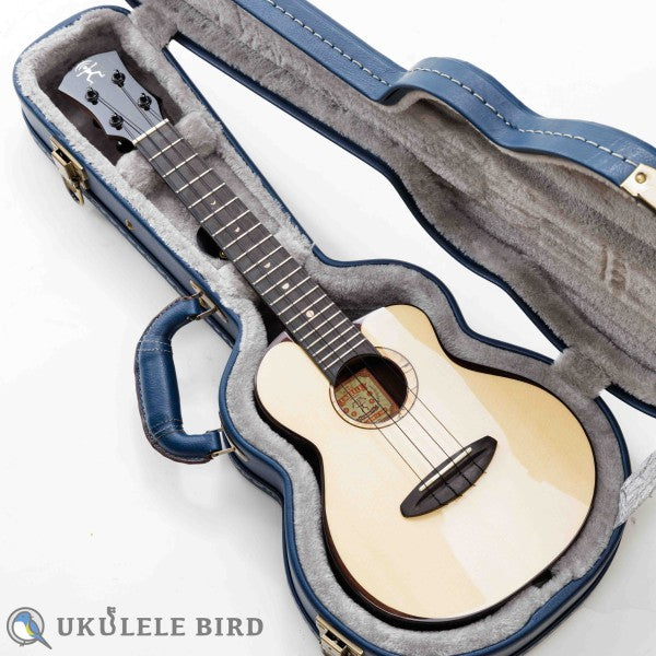 aNueNue aNN-UC200 Concert