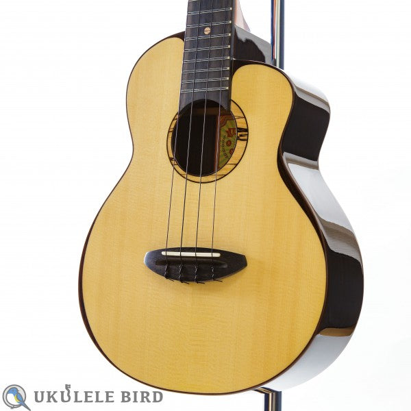 aNueNue aNN-UT200