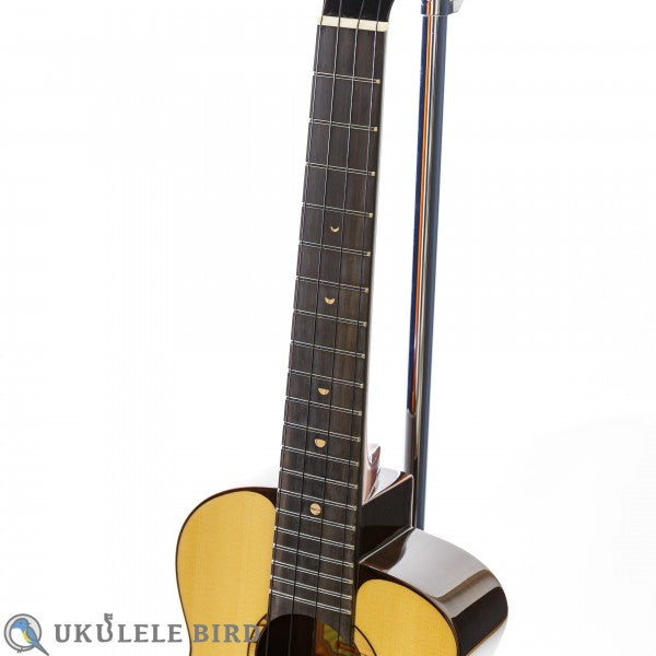 aNueNue aNN-UT200