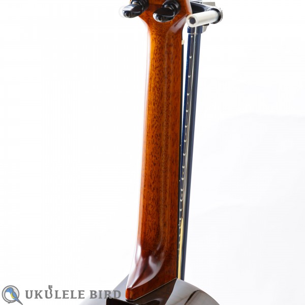 aNueNue aNN-UT200