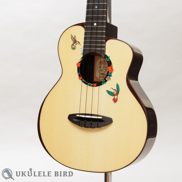 aNueNue aNN-UT200HB