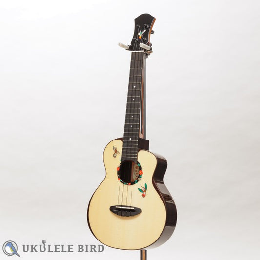 aNueNue aNN-UT200HB