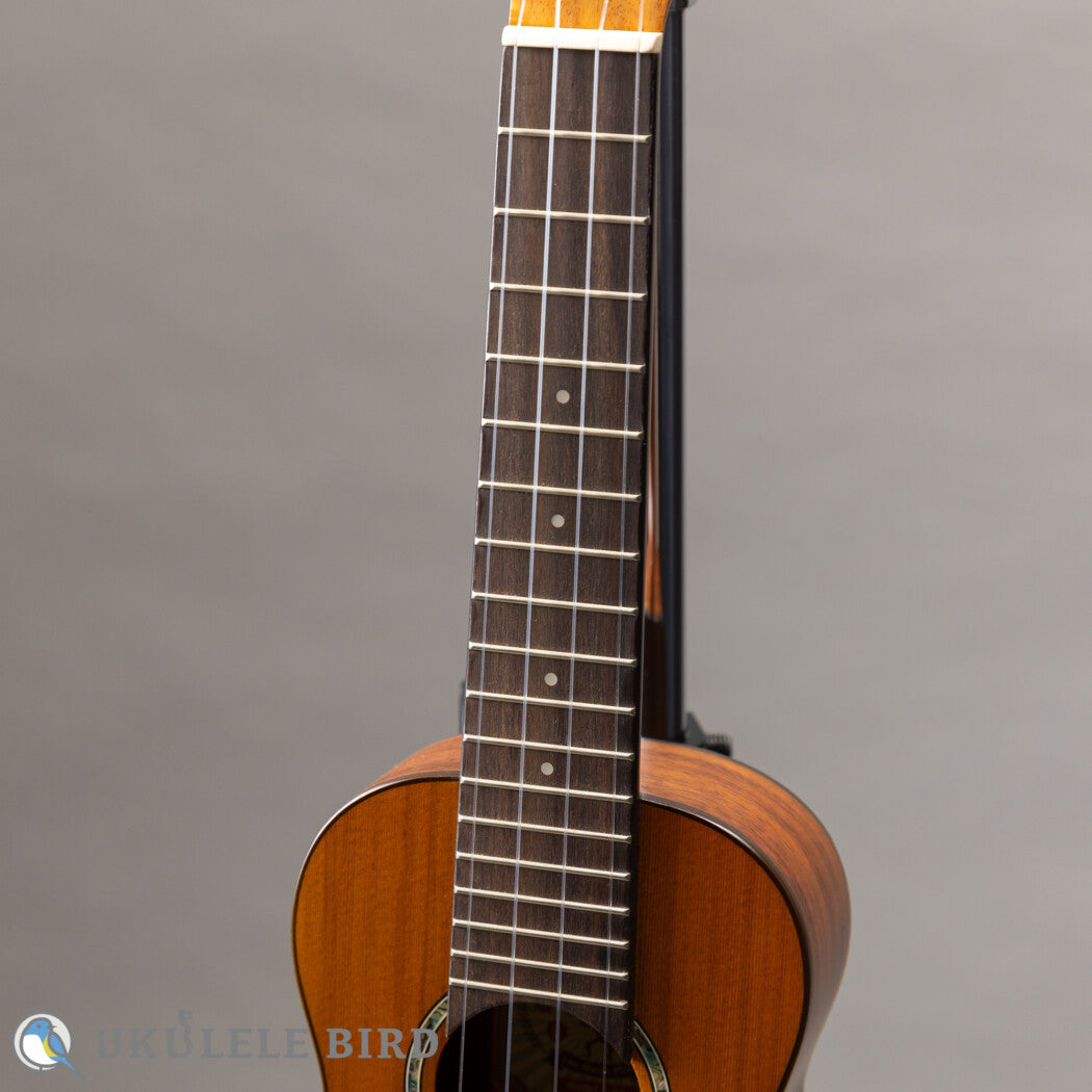 aNueNue aNN-S4