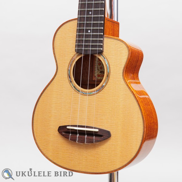 aNueNue aNN-US100