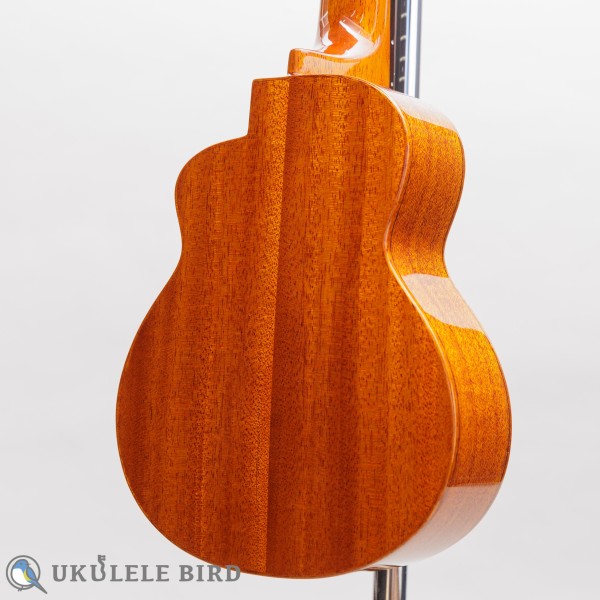 aNueNue aNN-US100