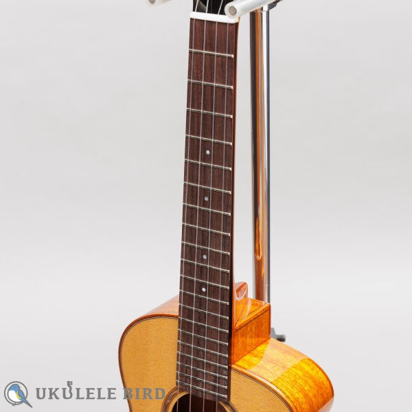 aNueNue aNN-UT100