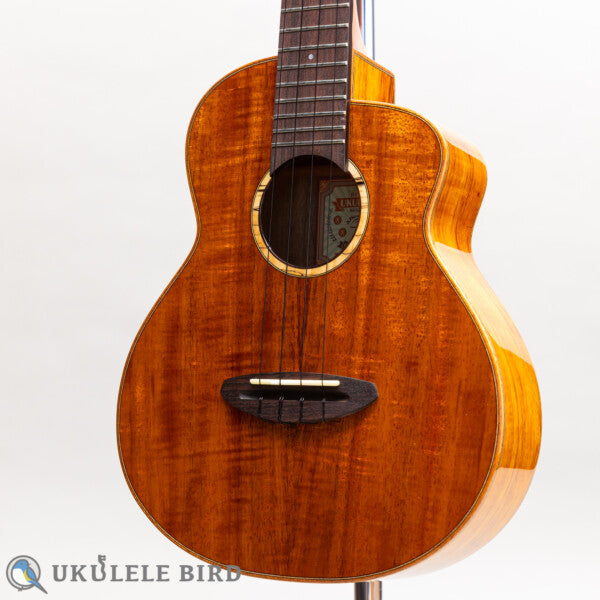 aNueNue aNN-UT1K