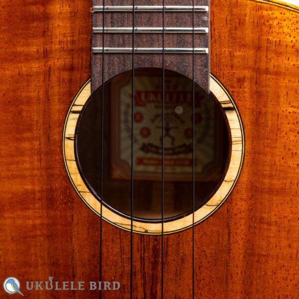 aNueNue aNN-UT1K