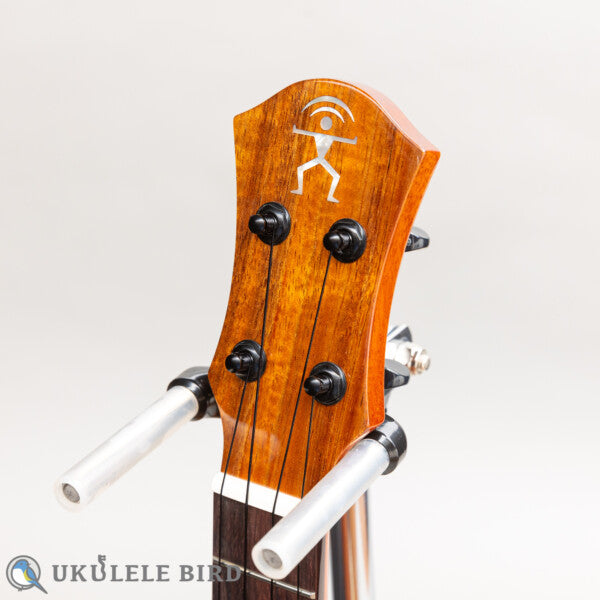 aNueNue aNN-UT1K