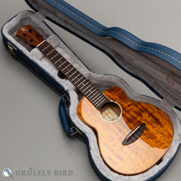 aNueNue aNN-UT1K