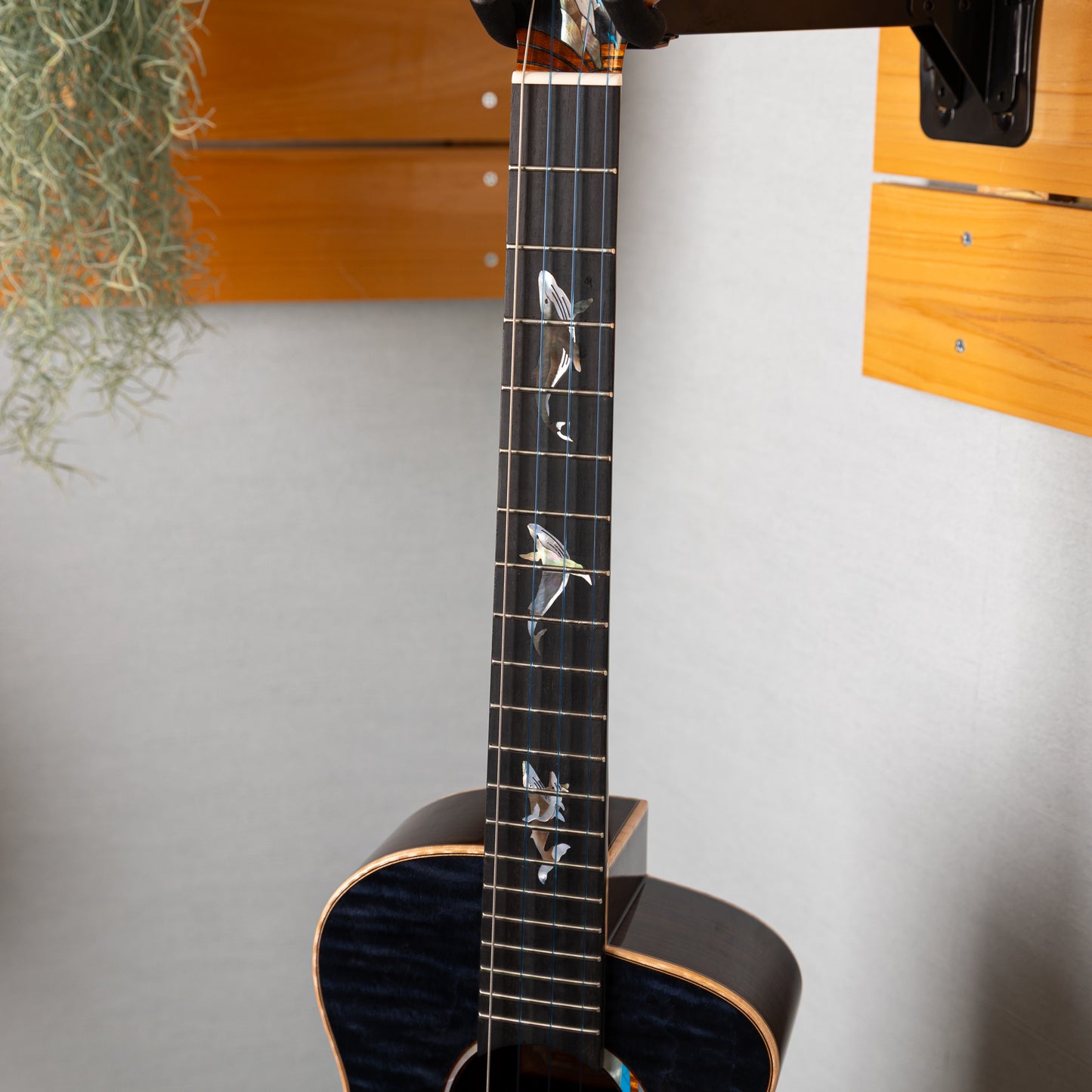 aNueNue aNN-Bwhale Baritone