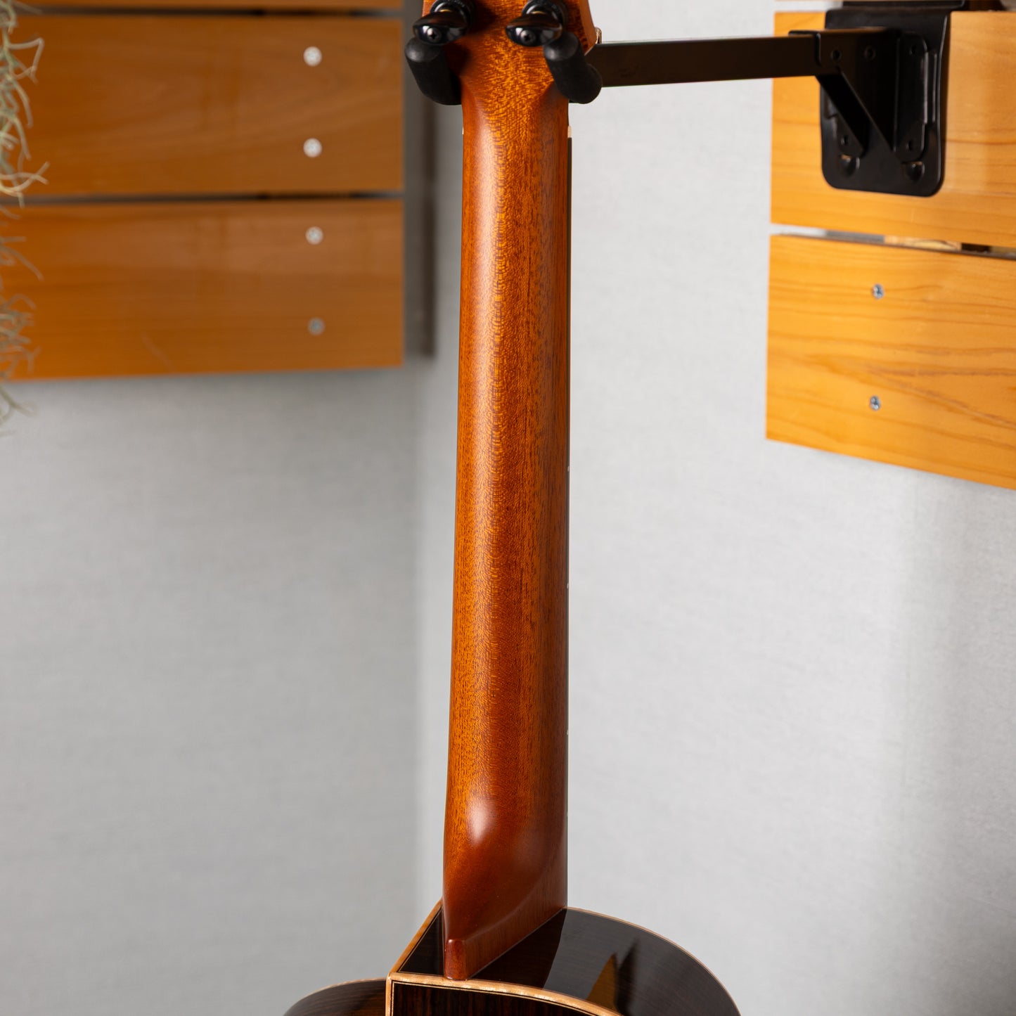 aNueNue aNN-Bwhale Baritone