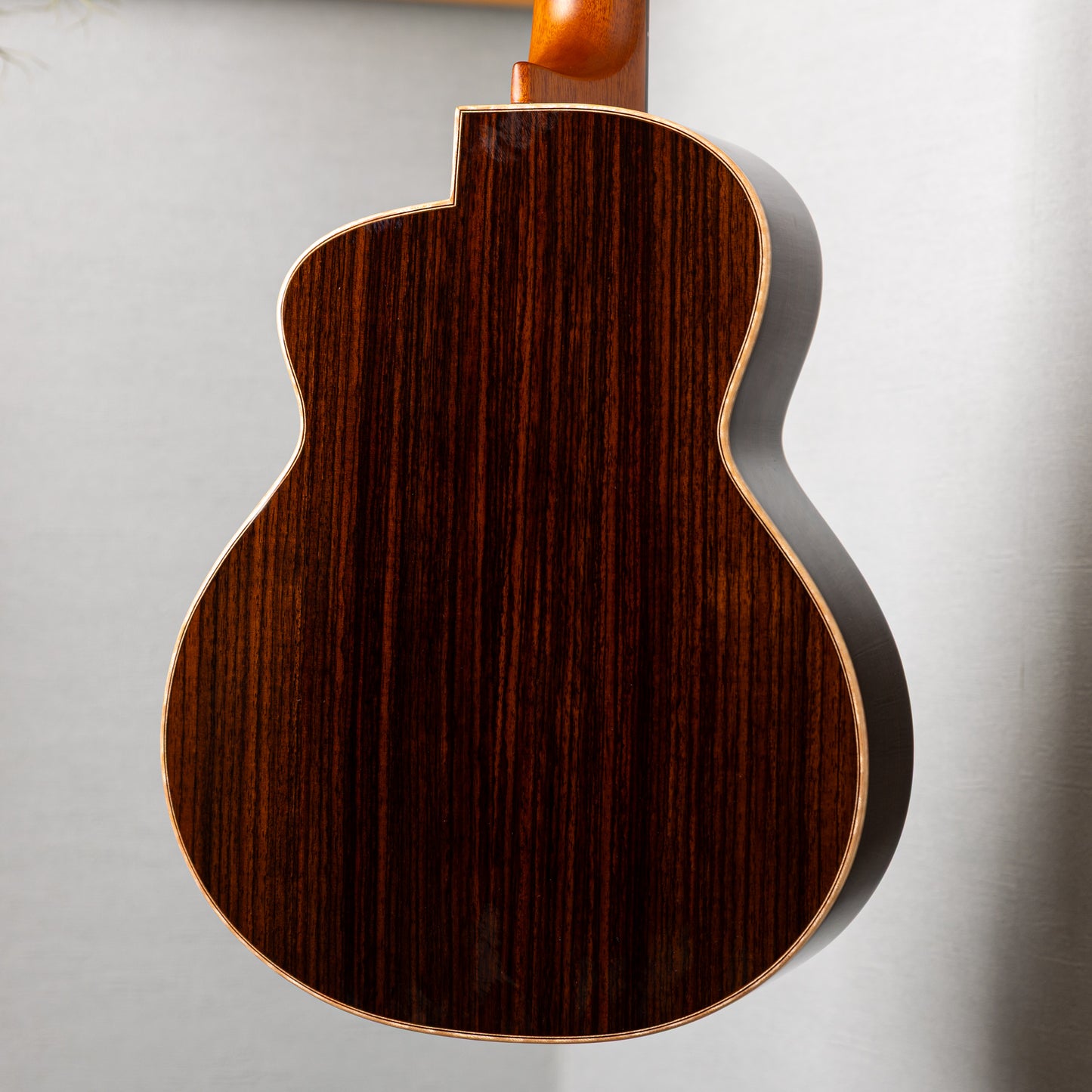 aNueNue aNN-Bwhale Baritone
