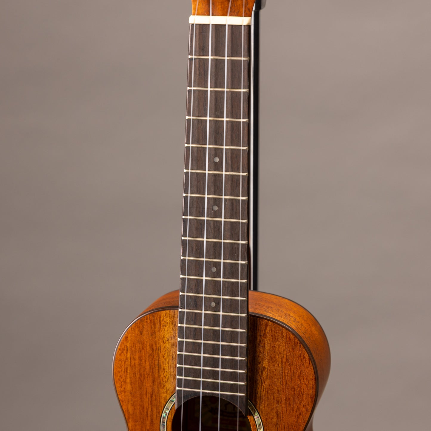 aNueNue aNN-S3