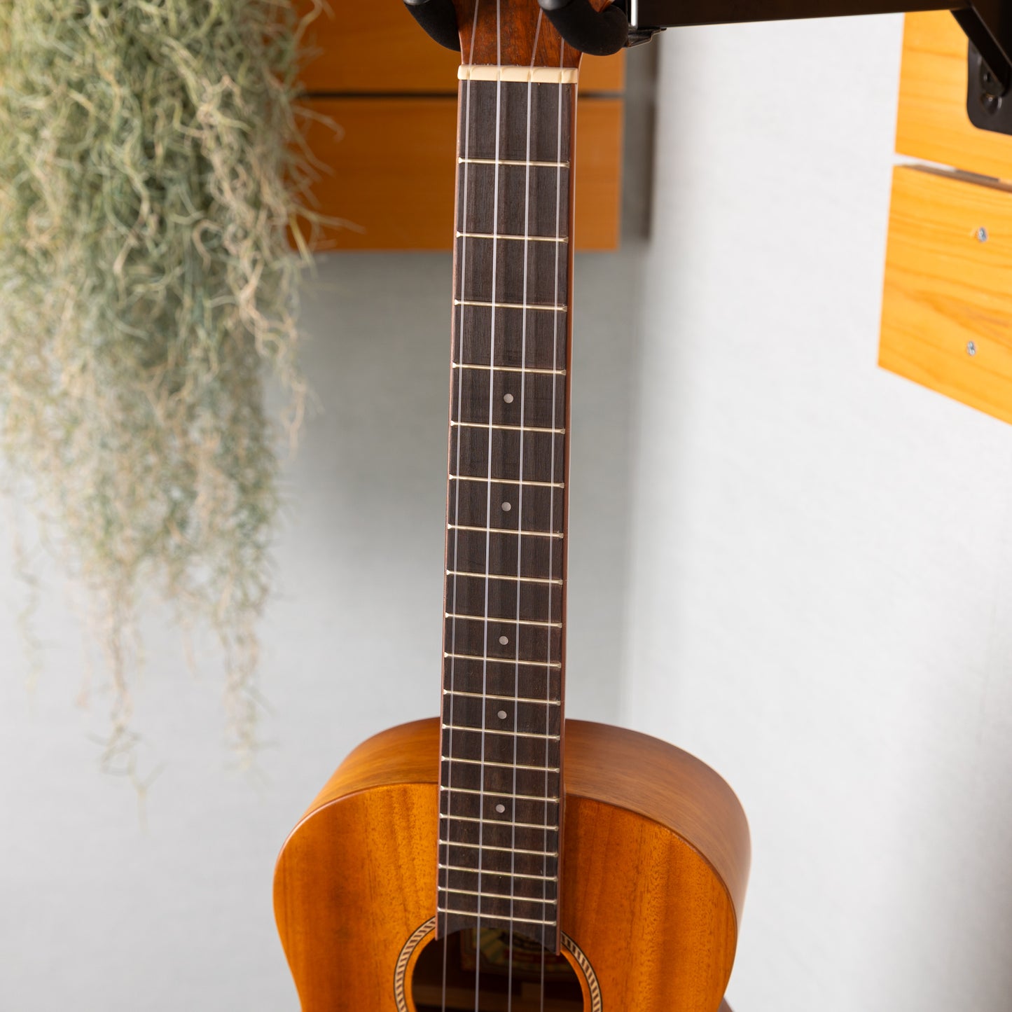 aNueNue aNN-T30