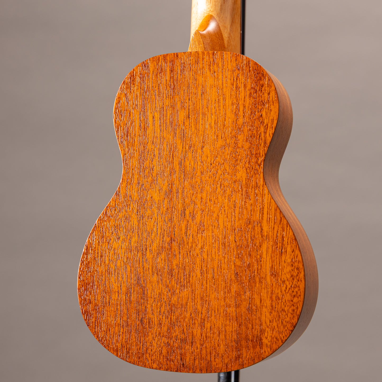 aNueNue aNN-U1