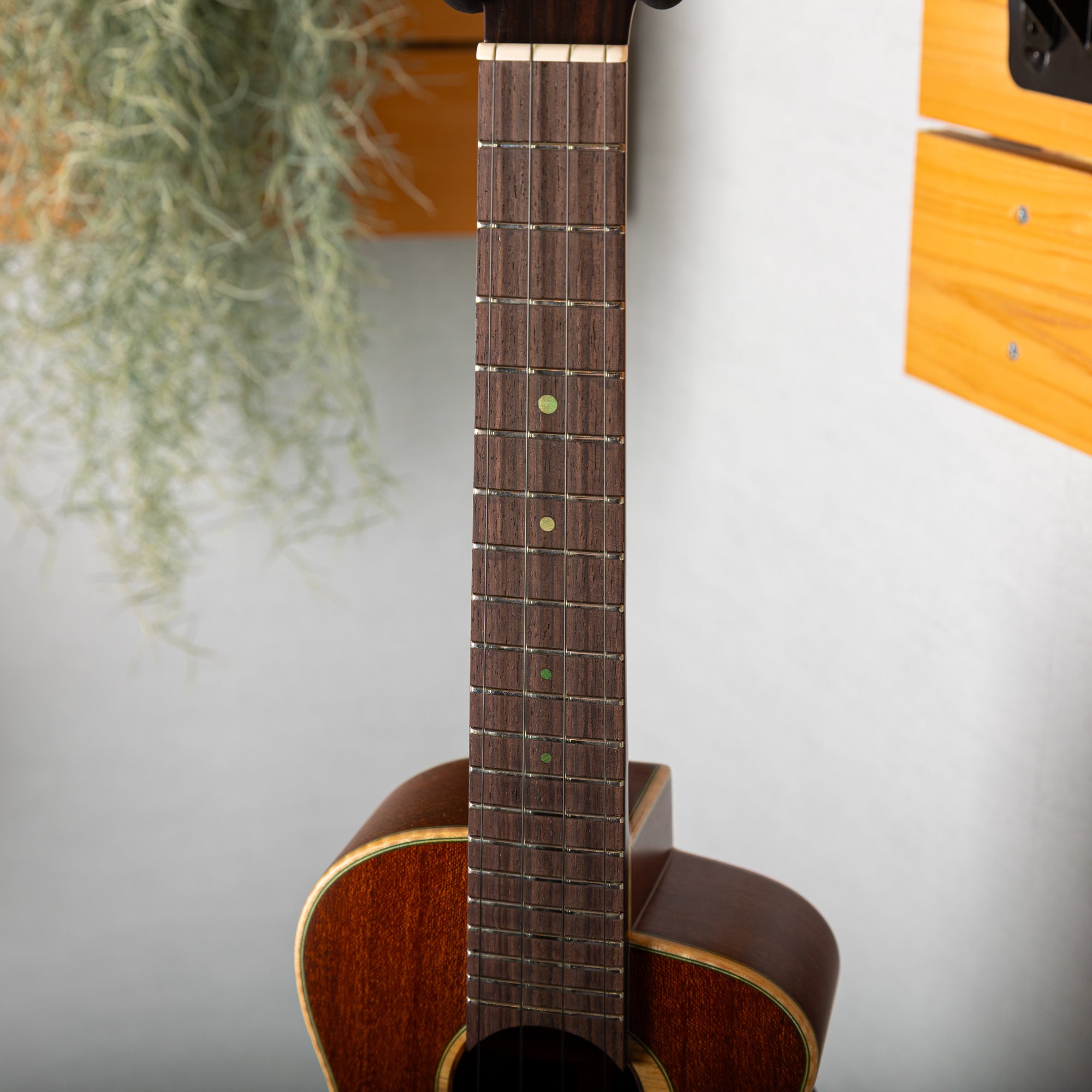 aNueNue aNN-UC110 – Ukulele Bird （株式会社ラストギター）