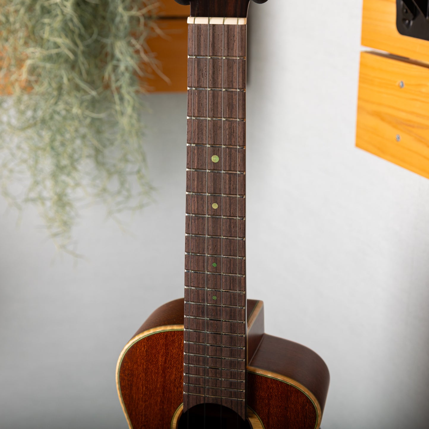 aNueNue aNN-UC110